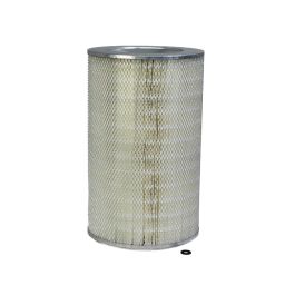 Filtro Aire Principal