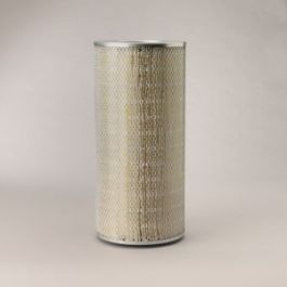 Filtro Aire Principal