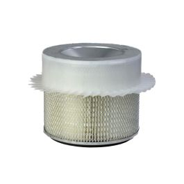 Filtro Aire Principal, aletas