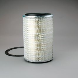 Filtro Aire Principal