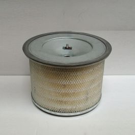 Filtro Aire Principal