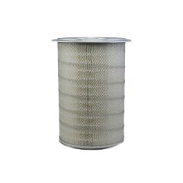 Filtro Aire Principal