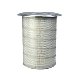 Filtro Aire Principal