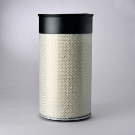 Filtro Aire Principal