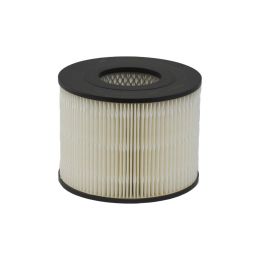 Filtro Aire Principal