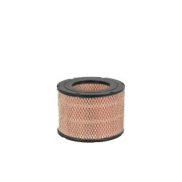 Filtro Aire Principal