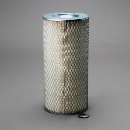 Filtro Aire Principal