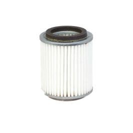 Filtro Aire Principal