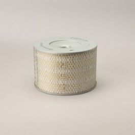 Filtro Aire Principal