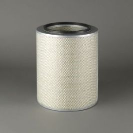 Filtro Aire Principal