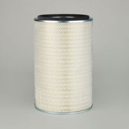 Filtro Aire Principal