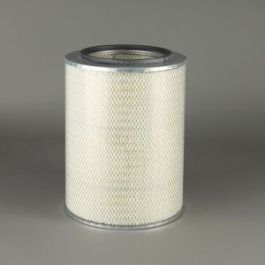 Filtro Aire Principal