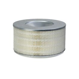 Filtro Aire Principal