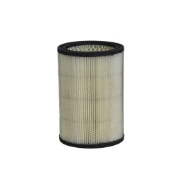 Filtro Aire Principal