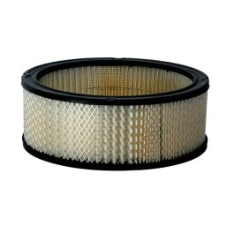 Filtro Aire Principal