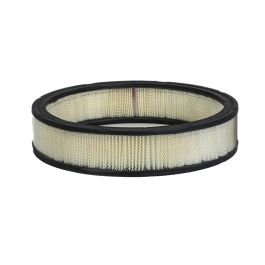 Filtro Aire Principal