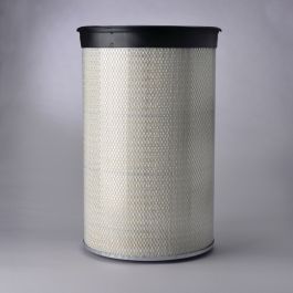 Filtro Aire Principal