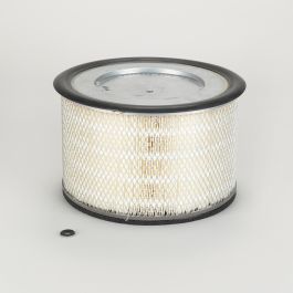 Filtro Aire Principal