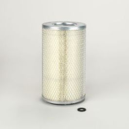 Filtro Aire Principal