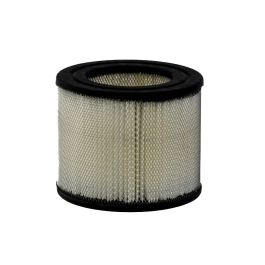 Filtro Aire Principal