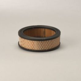 Filtro Aire Principal