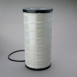 Filtro Aire Principal