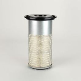 Filtro Aire Principal