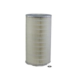 Filtro Aire Principal