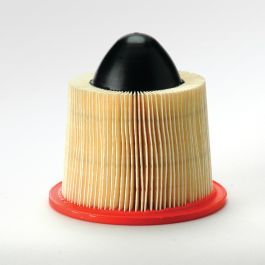 Filtro Aire Principal