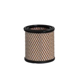 Filtro Aire Principal