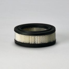 Filtro Aire Principal