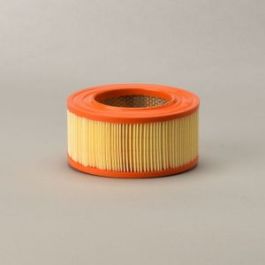 Filtro Aire Principal