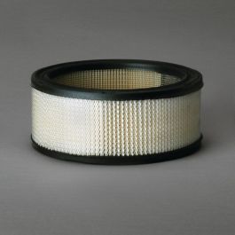 Filtro Aire Principal