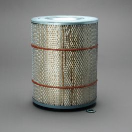 Filtro Aire Principal