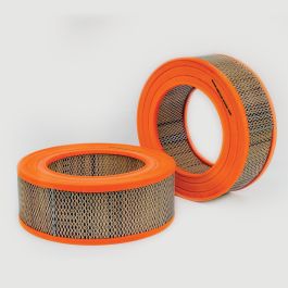 Filtro Aire Principal