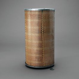 Filtro Aire Principal