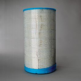 Filtro Aire Principal