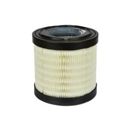 Filtro Aire Principal