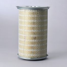 Filtro Aire Principal