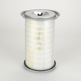 Filtro Aire Principal