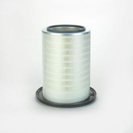 Filtro Aire Principal