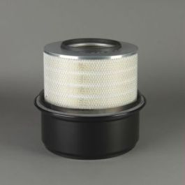 Filtro Aire Principal