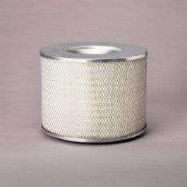 Filtro Aire Principal