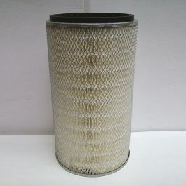 Filtro Aire Principal