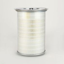 Filtro Aire Principal