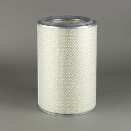 Filtro Aire Principal