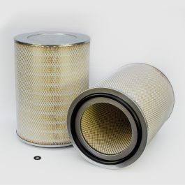 Filtro Aire Principal