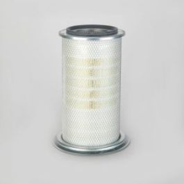 Filtro Aire Principal