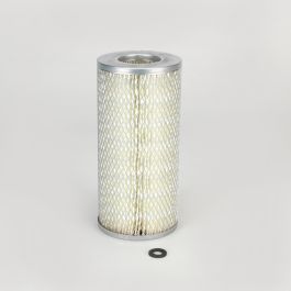 Filtro Aire Principal