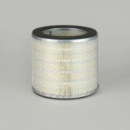 Filtro Aire Principal